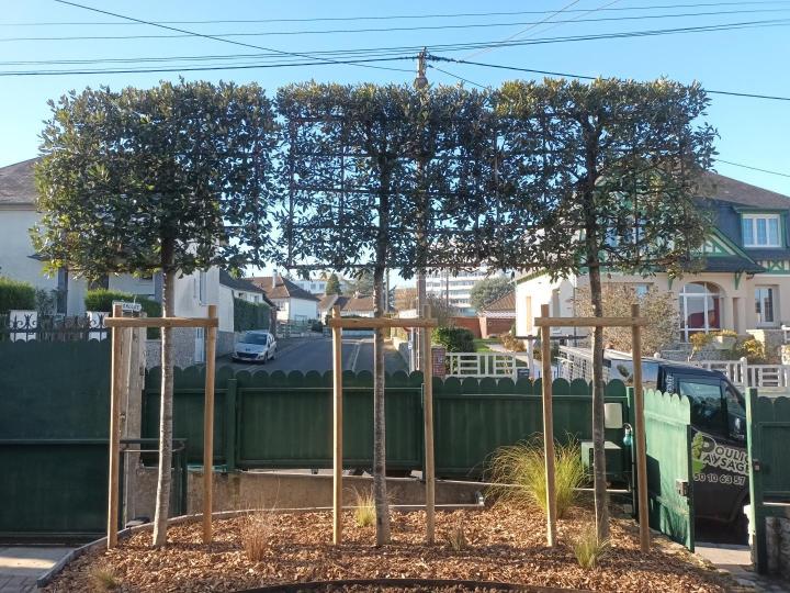 Dallage de jardin L'Aigle