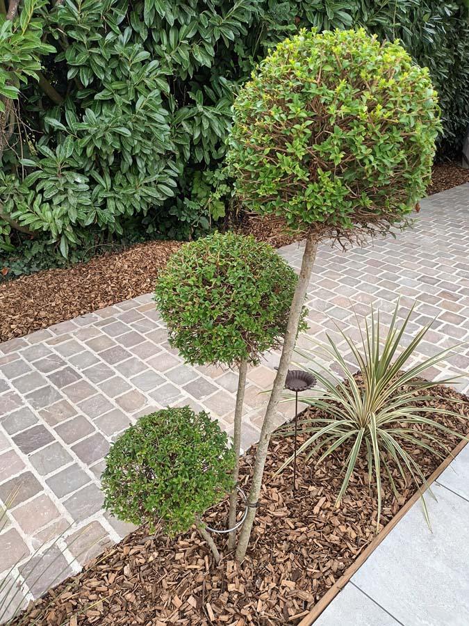 Aménagement extérieur L'Aigle